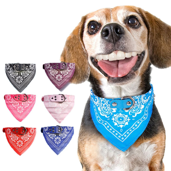 Dog Bandana