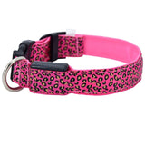 LED Dog Collar Flashing In Dark