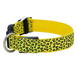 LED Dog Collar Flashing In Dark