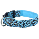 LED Dog Collar Flashing In Dark