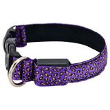 LED Dog Collar Flashing In Dark