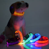 LED Dog Collar Flashing In Dark