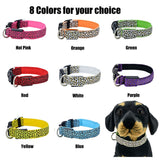 LED Dog Collar Flashing In Dark