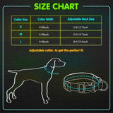 LED Dog Collar Flashing In Dark