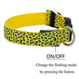 LED Dog Collar Flashing In Dark