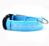 Nylon LED dog Collar