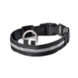 Nylon LED dog Collar