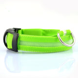 Nylon LED dog Collar