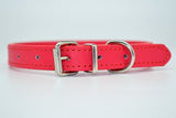 Solid Soft Colorful Pet Dog Collar