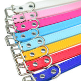 Solid Soft Colorful Pet Dog Collar