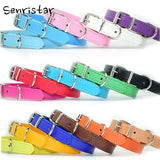 Solid Soft Colorful Pet Dog Collar