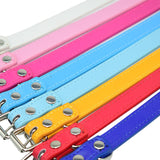 Solid Soft Colorful Pet Dog Collar